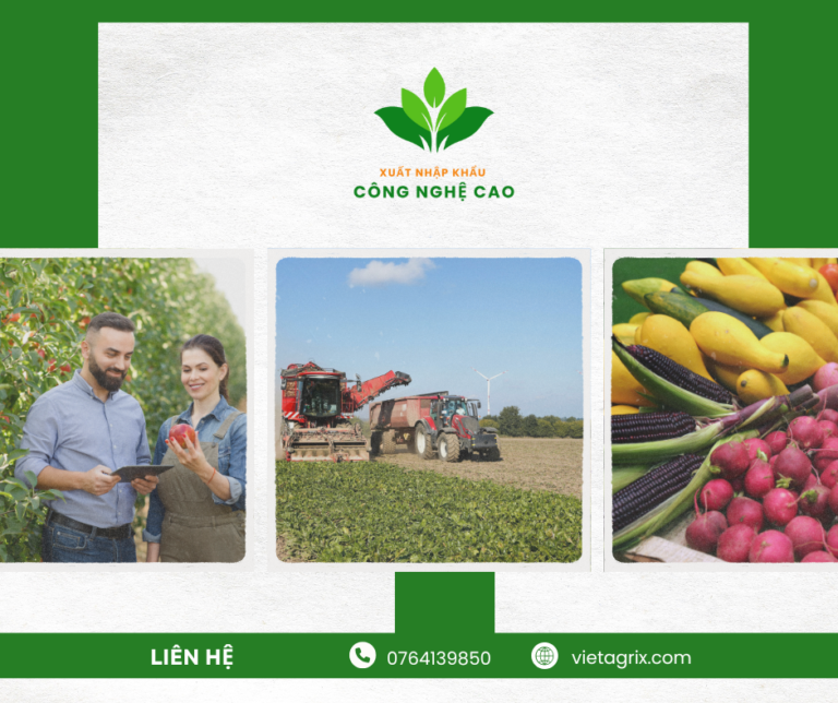 Cao Nguyên Xanh hỗ trợ kỹ thuật cho HTX và các xã viên