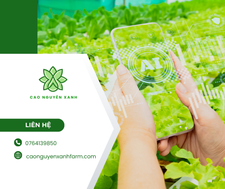 Cao Nguyên Xanh xây dựng HTX nông nghiệp hiện đại