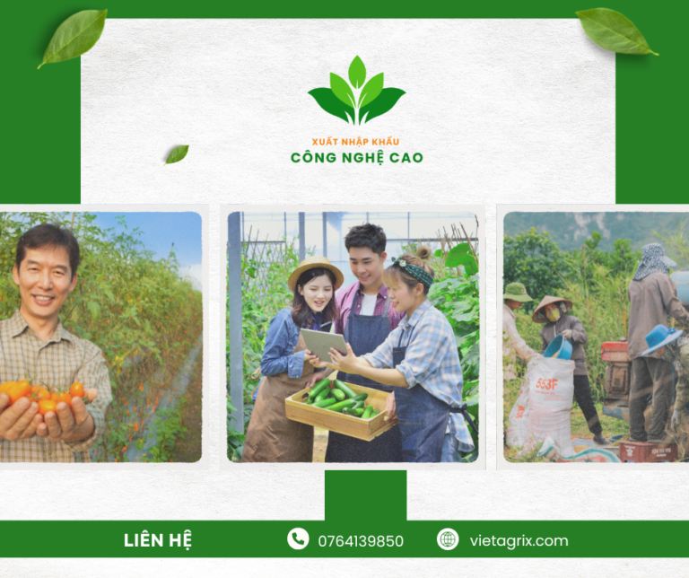 Giải pháp Cao Nguyên Xanh hỗ trợ HTX nông nghiệp