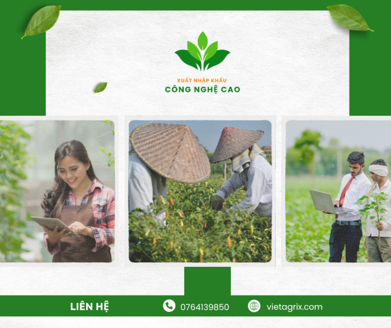 Cao Nguyên Xanh triển khai mô hình HTX hiệu quả