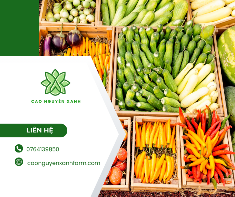 Cao Nguyên Xanh liên kết HTX phát triển dài hạn