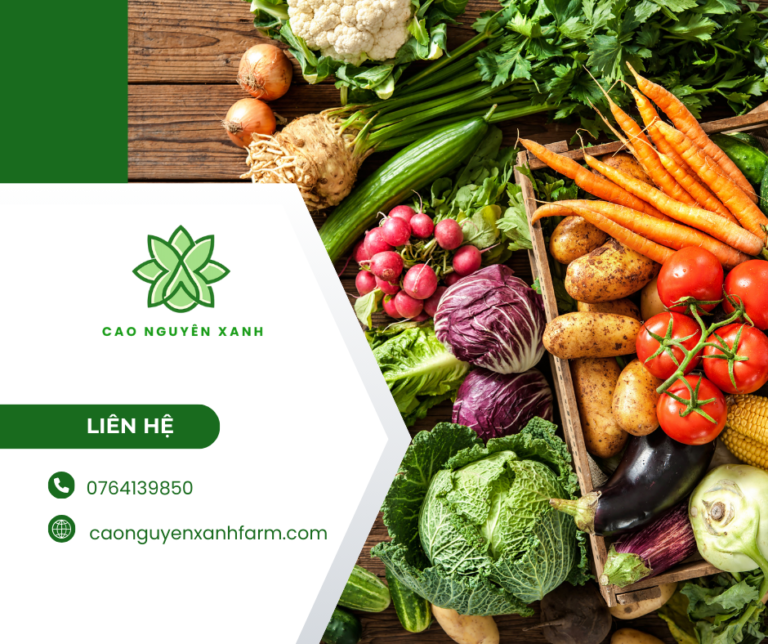 Cao Nguyên Xanh giúp HTX ổn định đầu ra