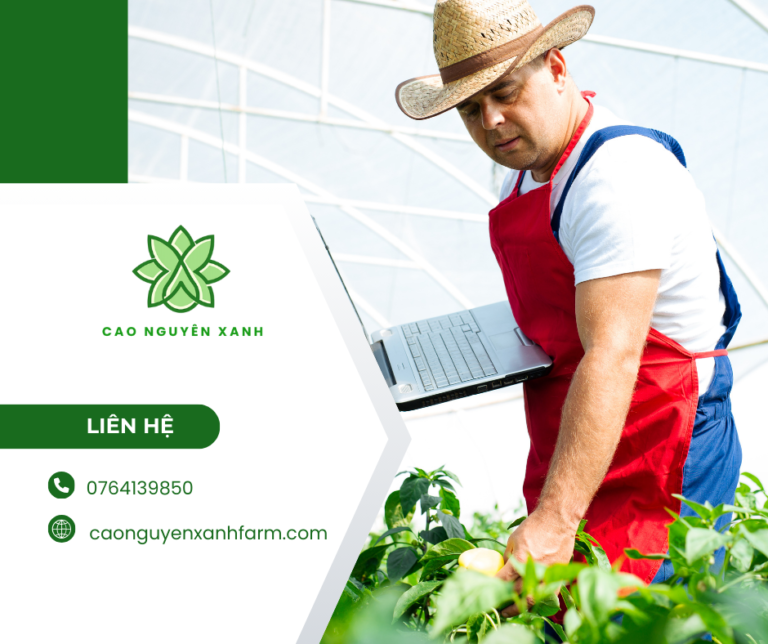 Cao Nguyên Xanh kết nối HTX và doanh nghiệp